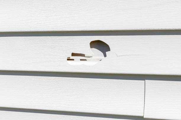 Siding Installation